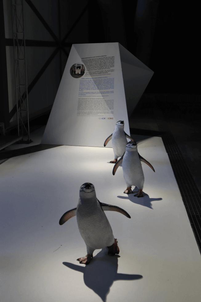 pinguinos-cosmocaixa