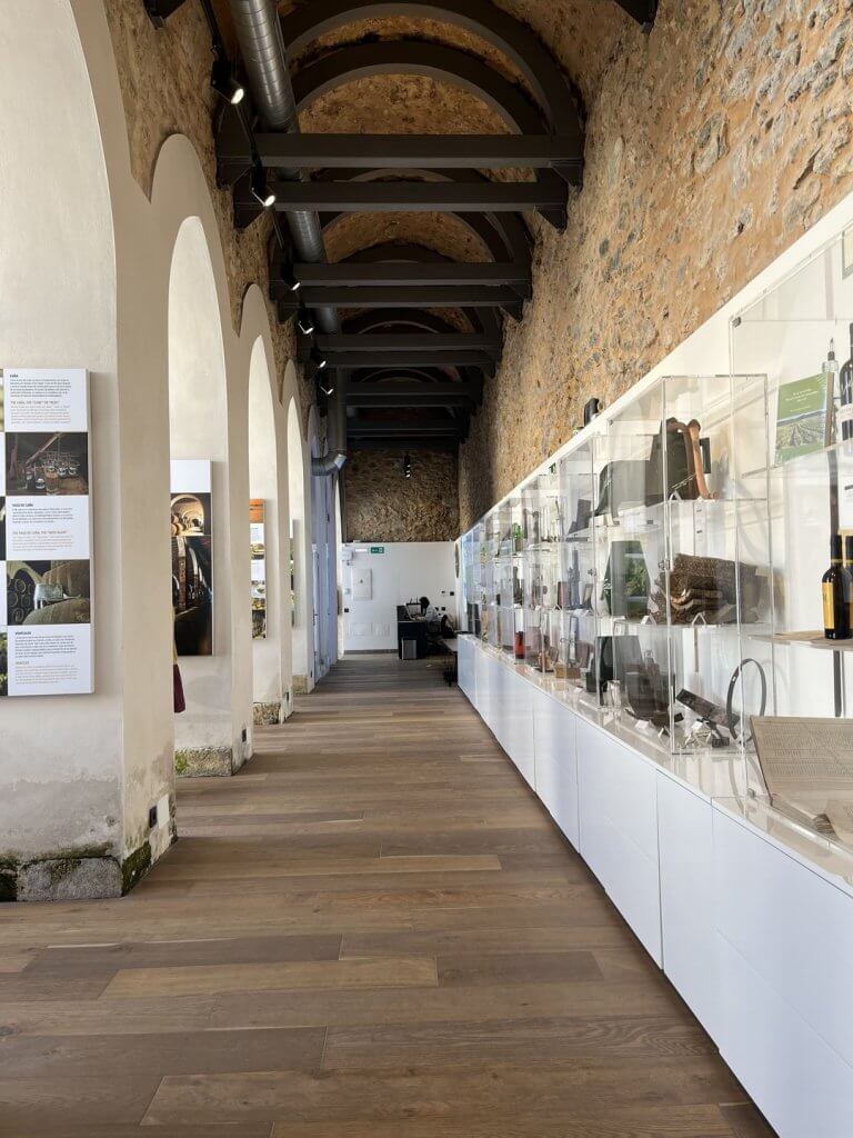 museo-del-vino